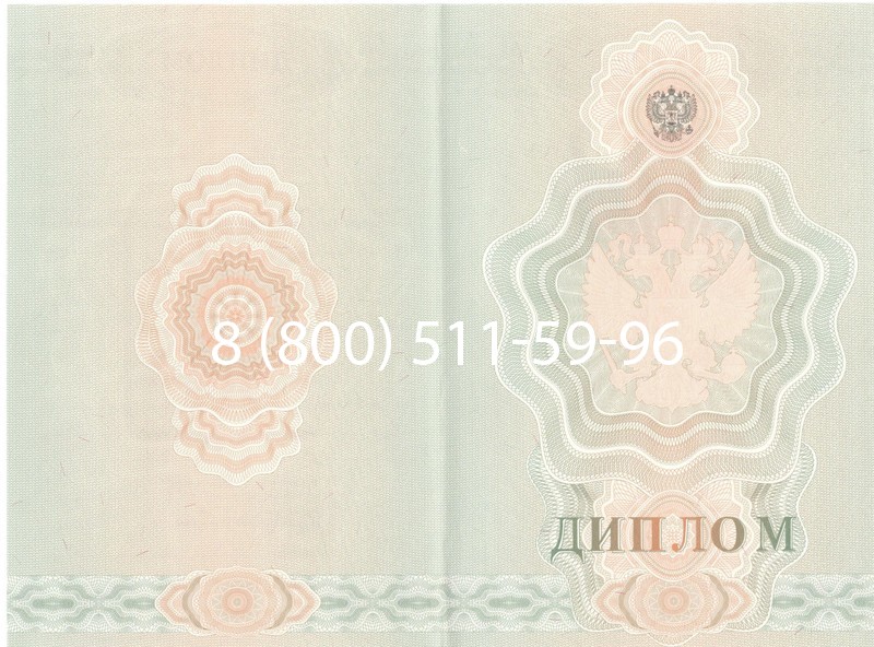 Купить Диплом училища 2007-2009 годов в Коломне